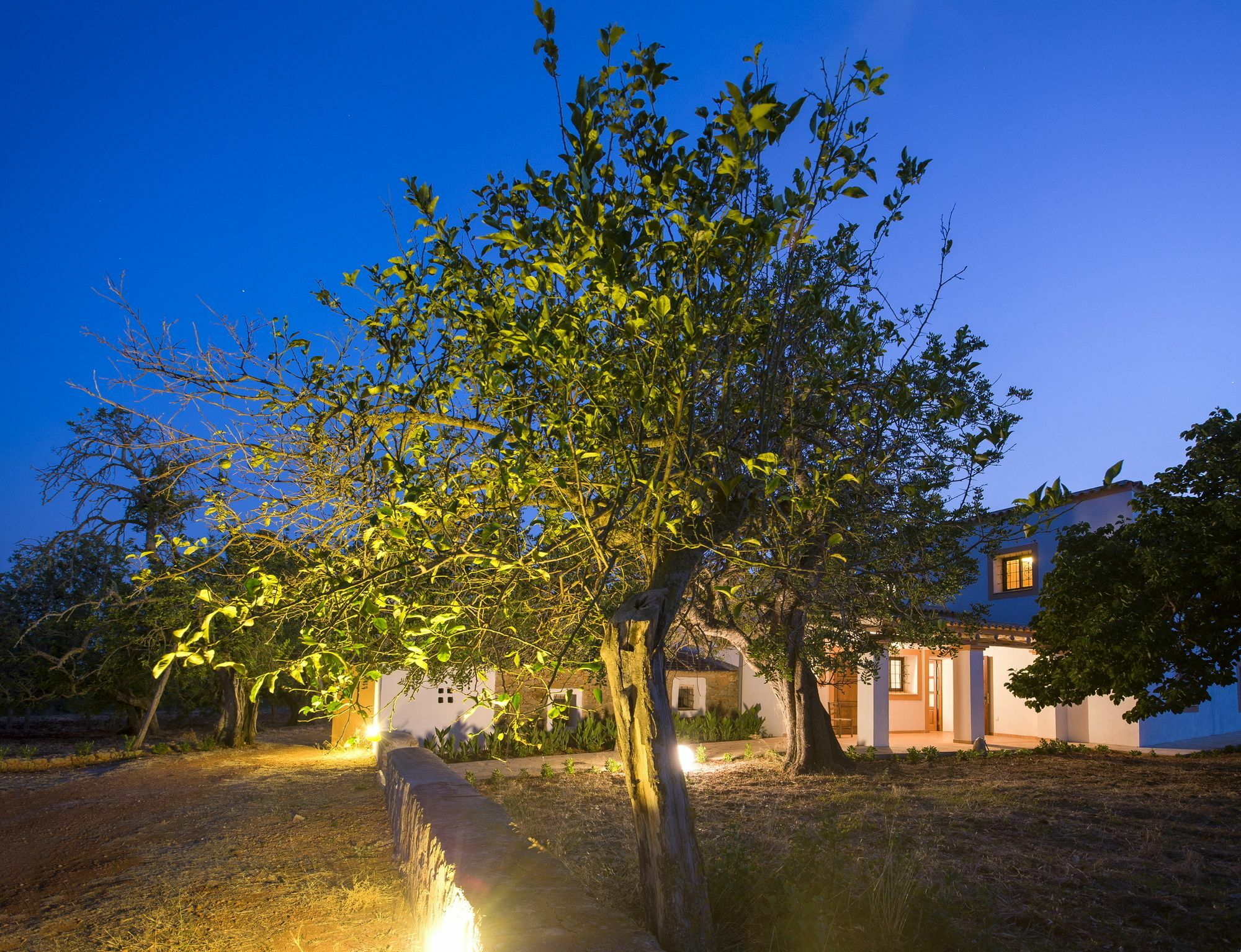 Cama Villa
