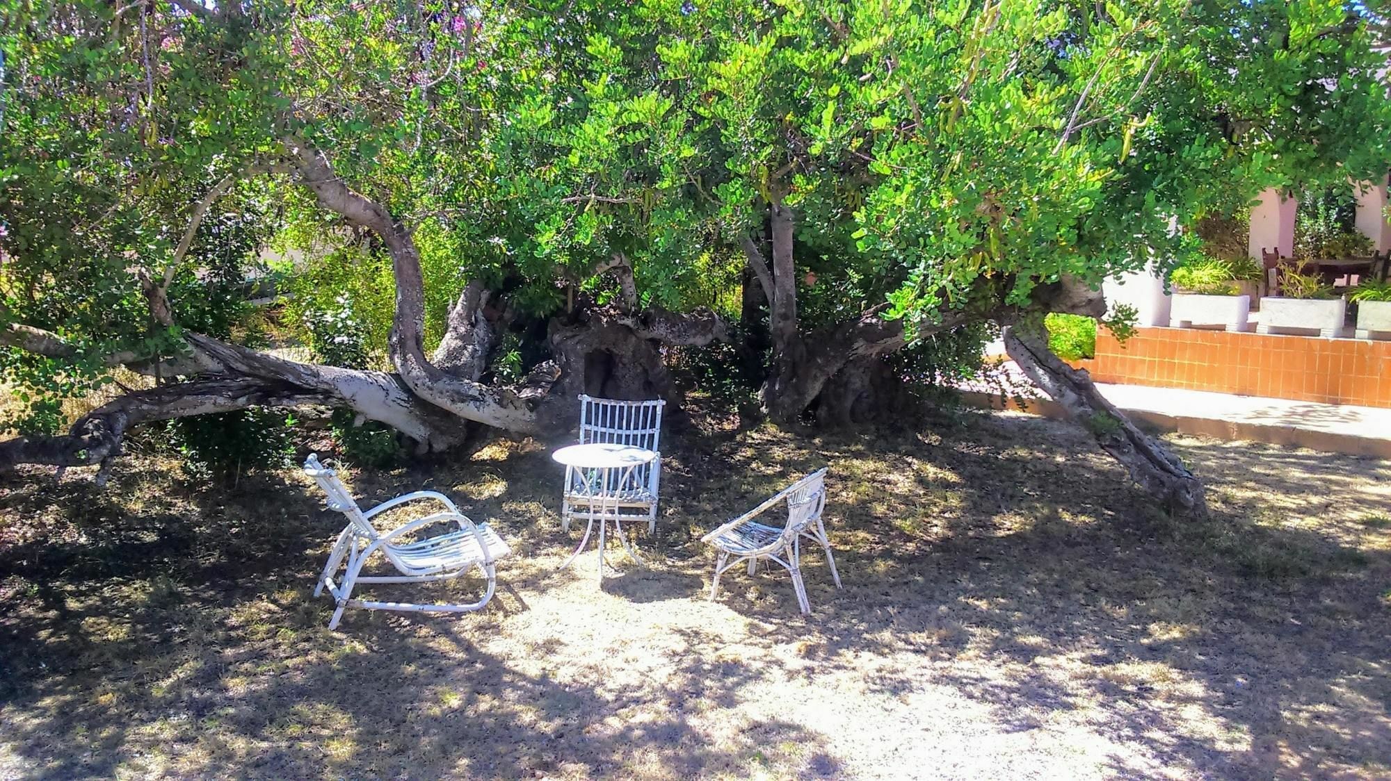 With 7 In Sant Antoni De Portmany, With Private Pool, Encl San Antonio (Ibiza)
