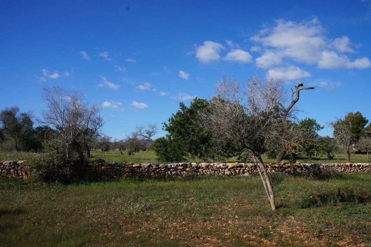 Frigola. Ibiza 9pax Villa *