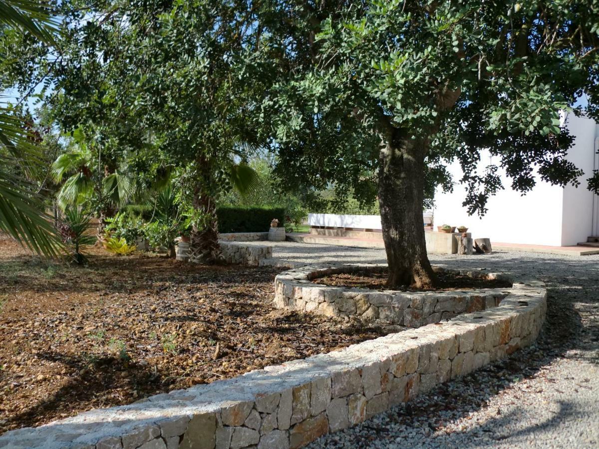 Sa Vinyeta * Sant Llorenç de Balàfia