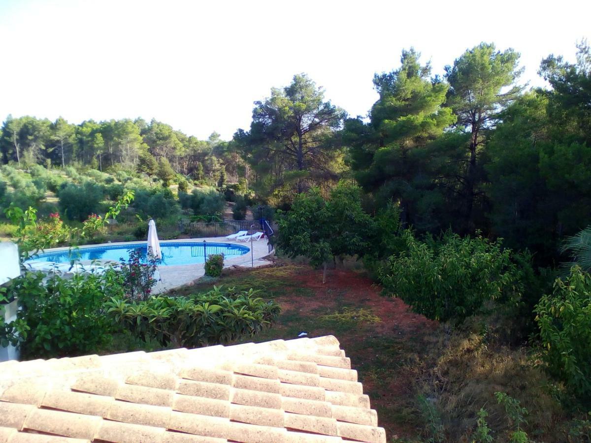 Toni Miqueli * Santa Gertrudis (Ibiza)