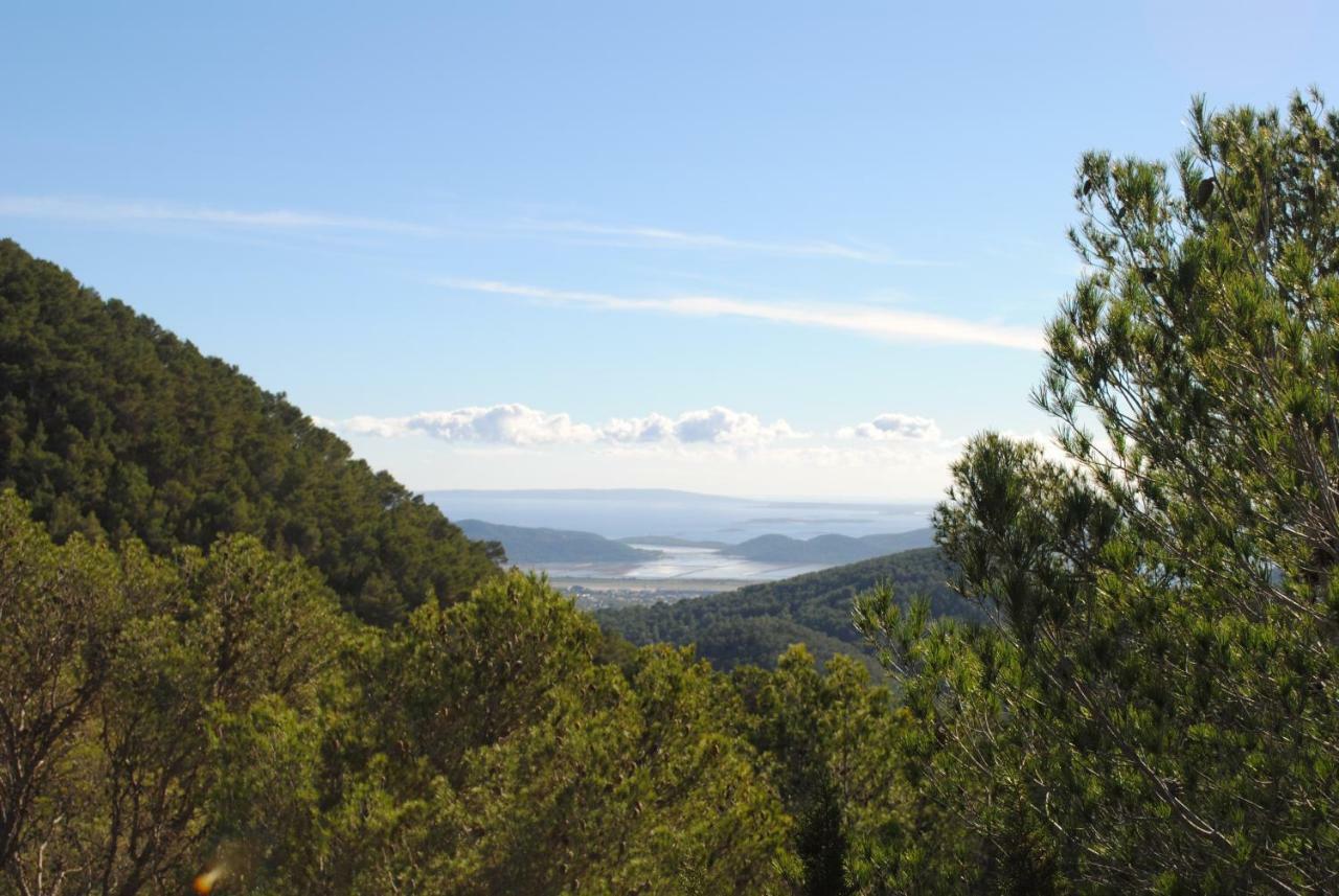 Vinyeta Casa de férias