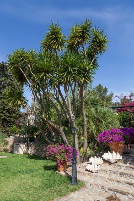 Country house Rural Cas Pla (adults Only) Sant Miquel De Balansat