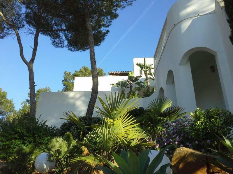 Villa Dos Monos