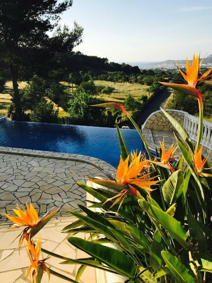Dos Monos Villa San Antonio (Ibiza)