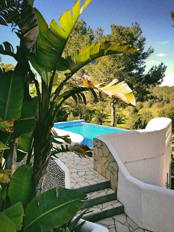Dos Monos San Antonio (Ibiza)