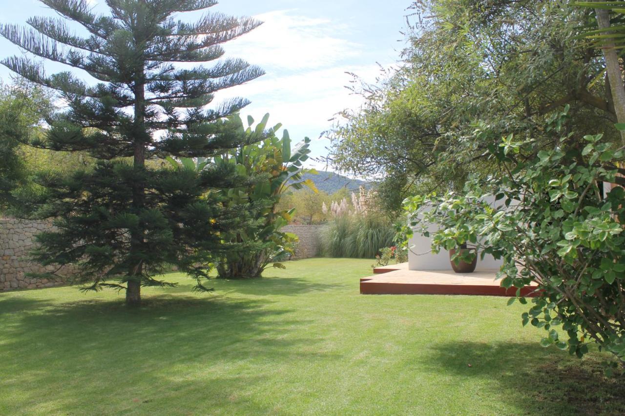 Villa Ca Na Vinya Cala Tarida (Ibiza)