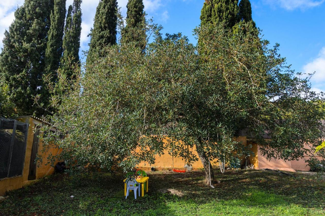 Pousada Davyvic Sant Joan De Labritja