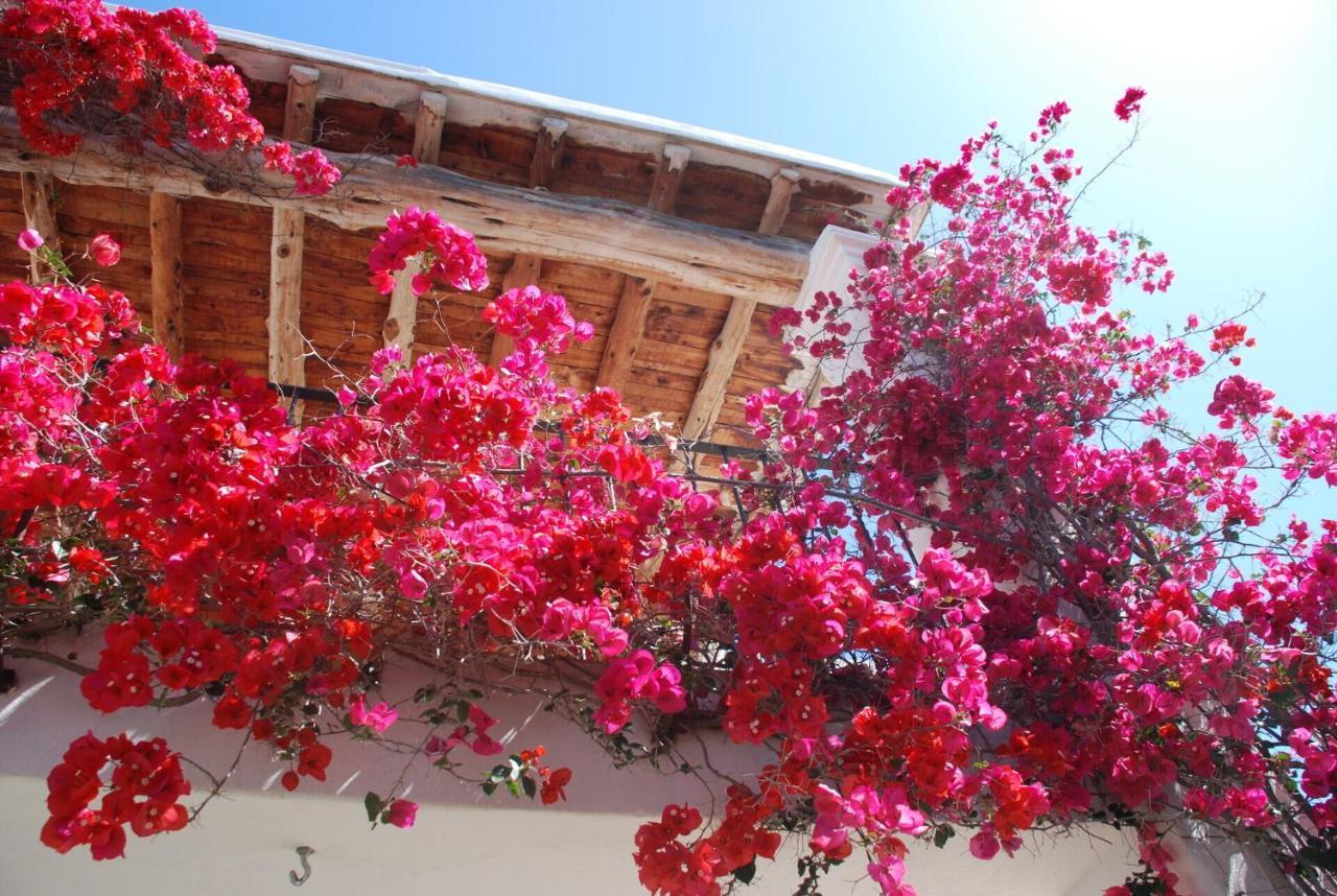 Villa Rent This Luxury With Private Pool, Ibiza 1059 Santa Eularia des Riu