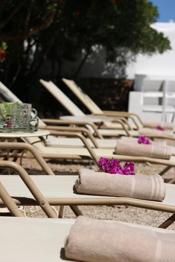 Flamingo Es Canar (Ibiza)