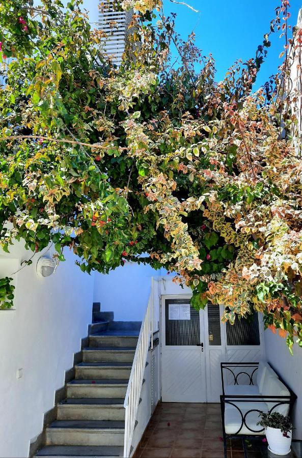 Costa Gasthuis Ibiza-stad