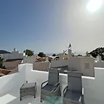 Casa Palm Tree