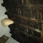 Pirats Des Vedra