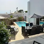 Casa Palm Tree