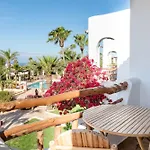 Petunia Ibiza (Adults Only)