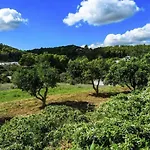 New! Villa Can Torres