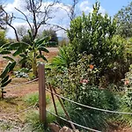 Agroturismo Casa Morna Ibiza