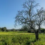 New! Villa Ca Ses Antonietes