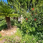 Private Villa Mit Eigenem Pool Unter Palmen