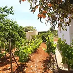 Villa Can Turrent