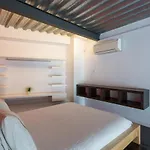 Apartamentos Xereca -Dalt Vila- Loft