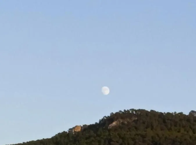 Pirats Des Vedra