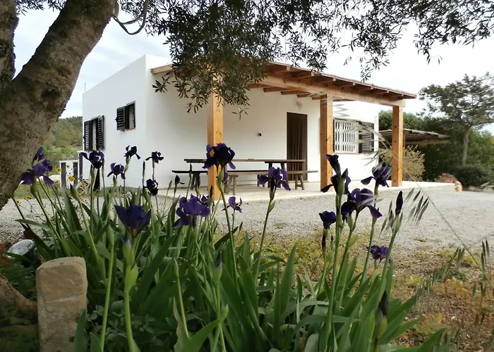 Sa Vinya Casa De Campo