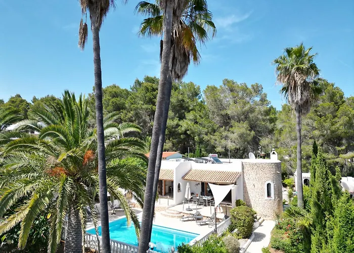 Private Villa Mit Eigenem Pool Unter Palmen