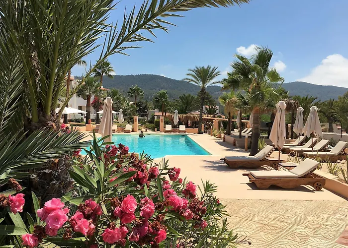 Petunia Ibiza (Adults Only)