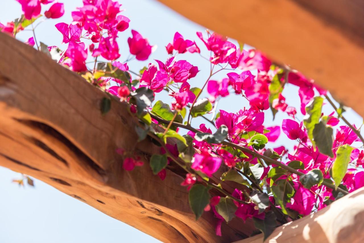 Alojamento de Turismo Rural Valley Club Ibiza - Boutique Sant Joan De Labritja