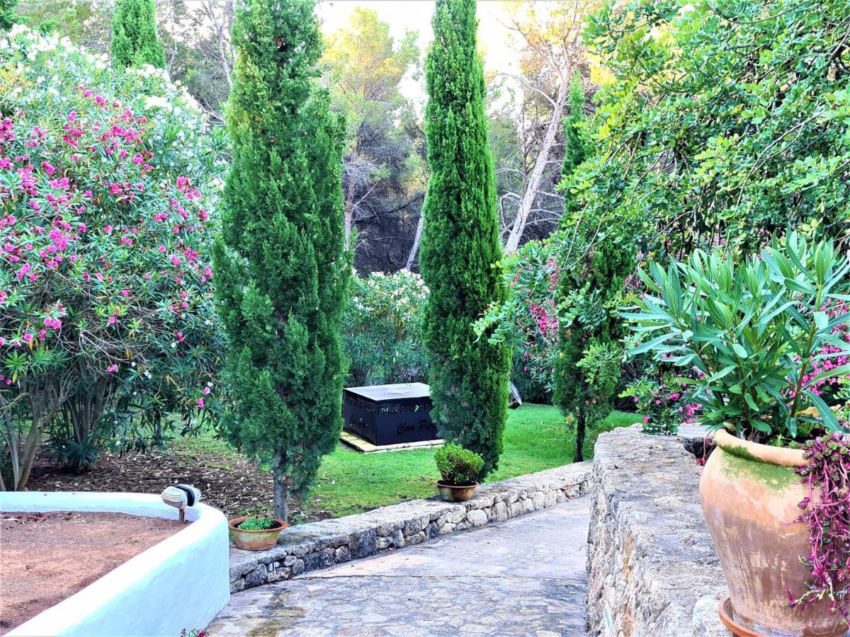 Hotel Pere Lifestyle & Cala Llonga (Ibiza)