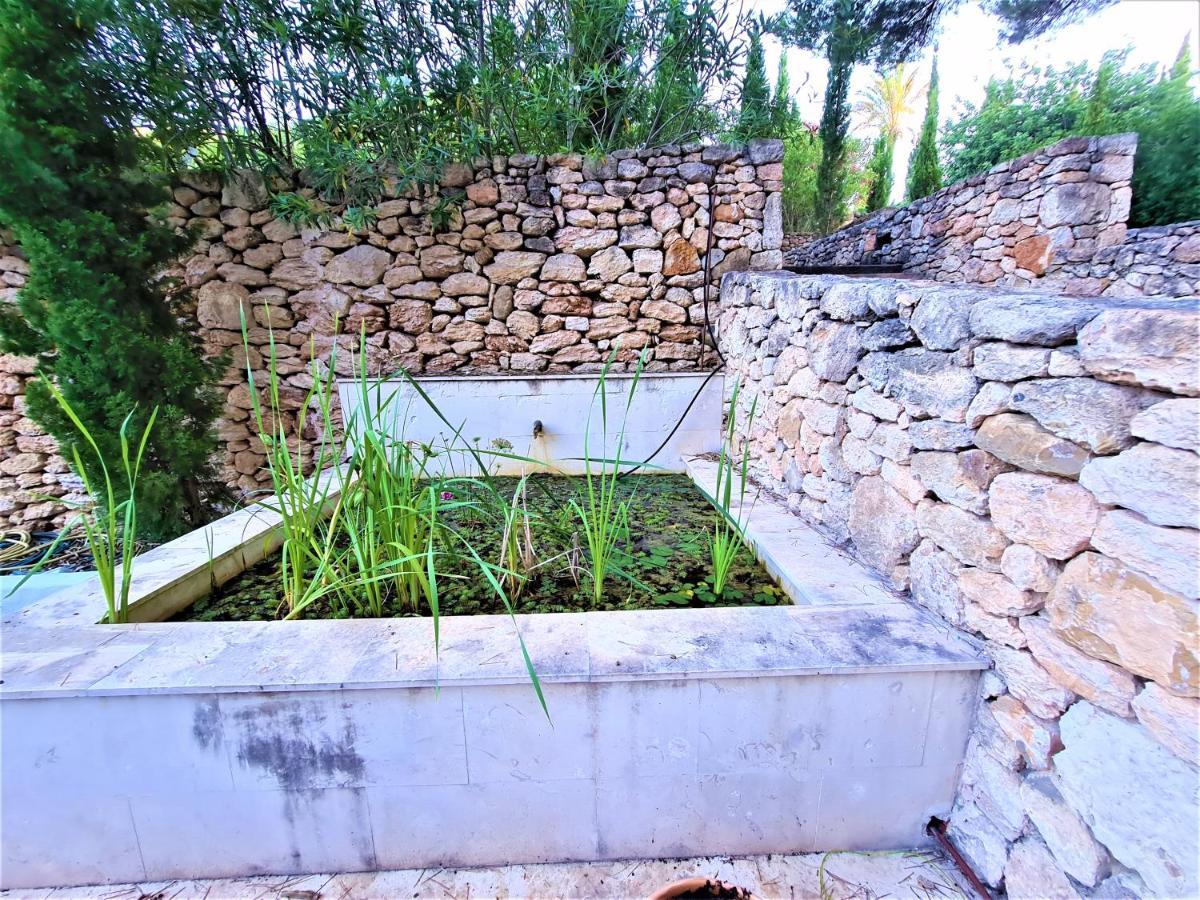 Pere Lifestyle & Cala Llonga (Ibiza)