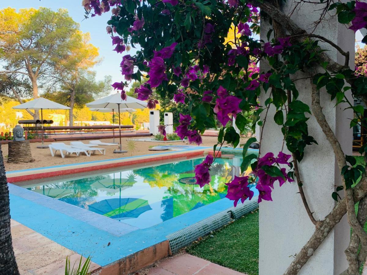 Bed & Breakfast Ibiza Paradise