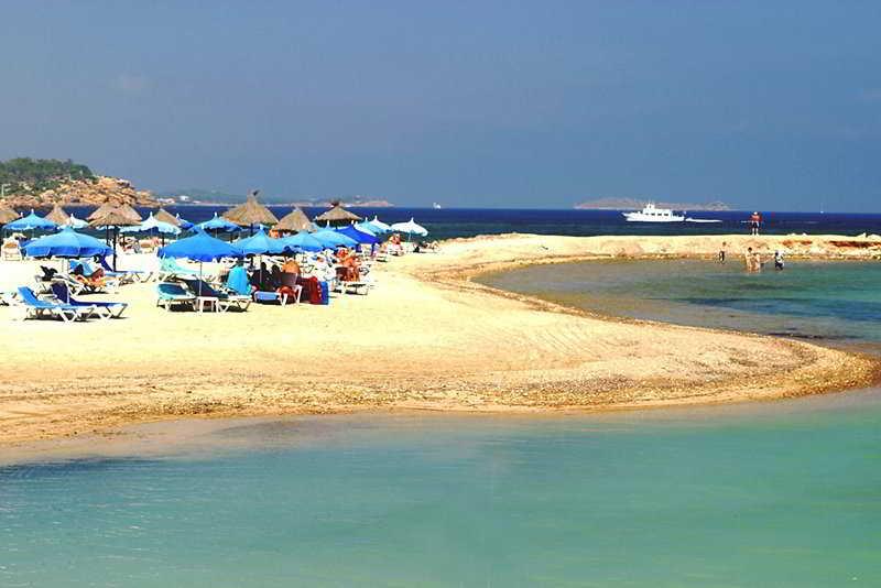 Sirenis Club Siesta Hotel 4*