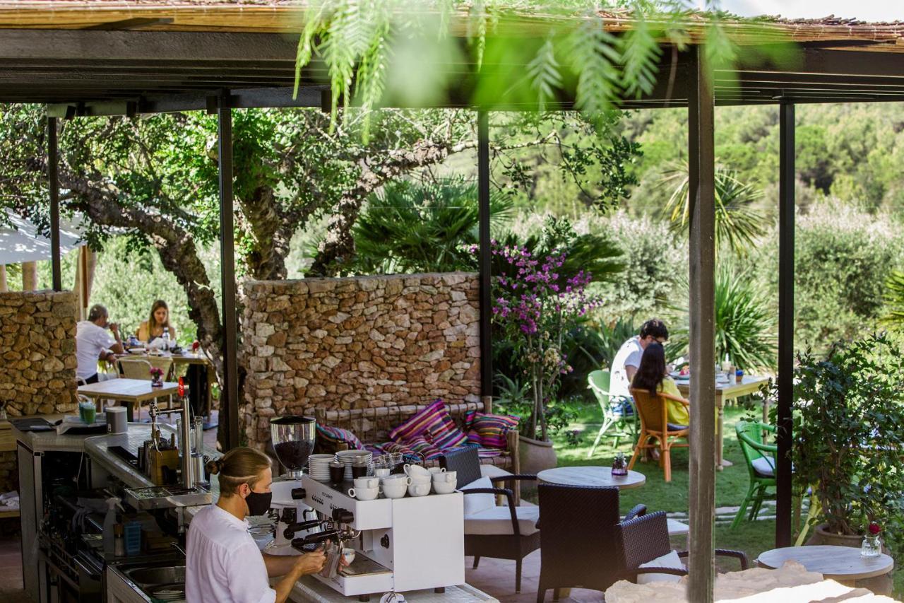 Cas Gasi Farm stay Santa Gertrudis (Ibiza)