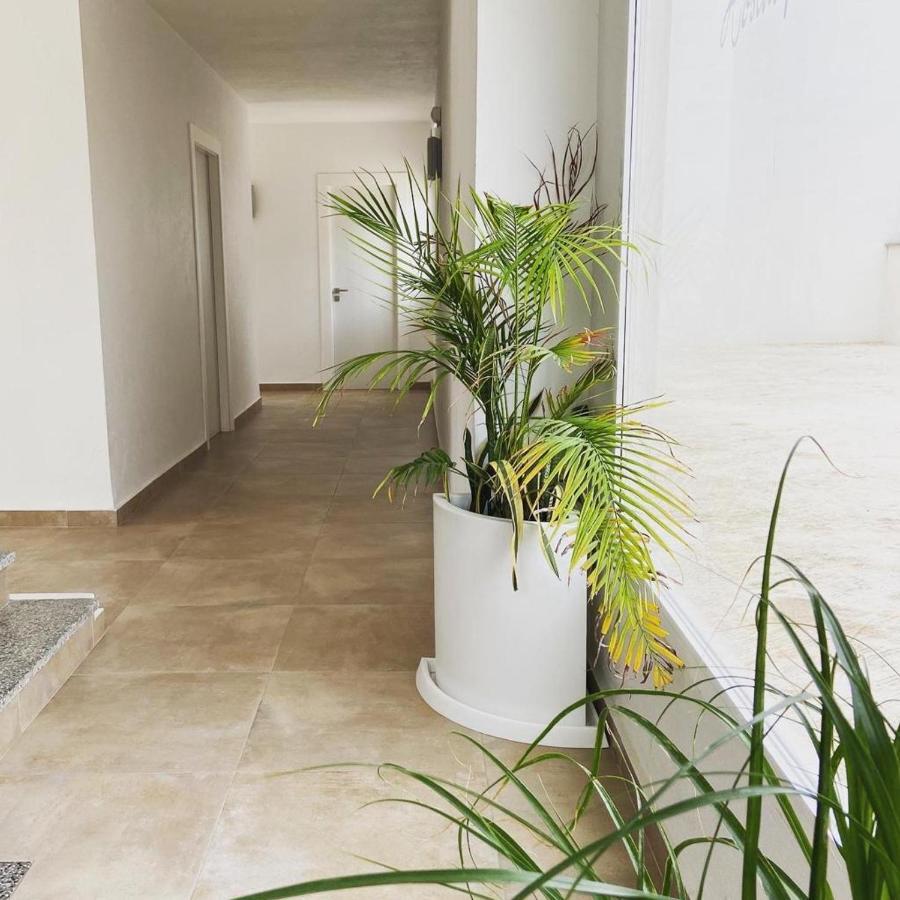 Pitiusa Guest house