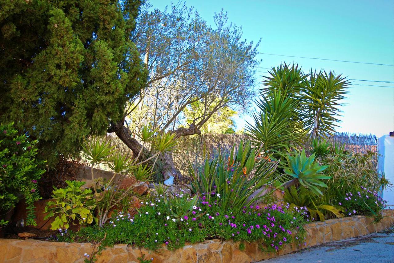Villa Ca N'estrella