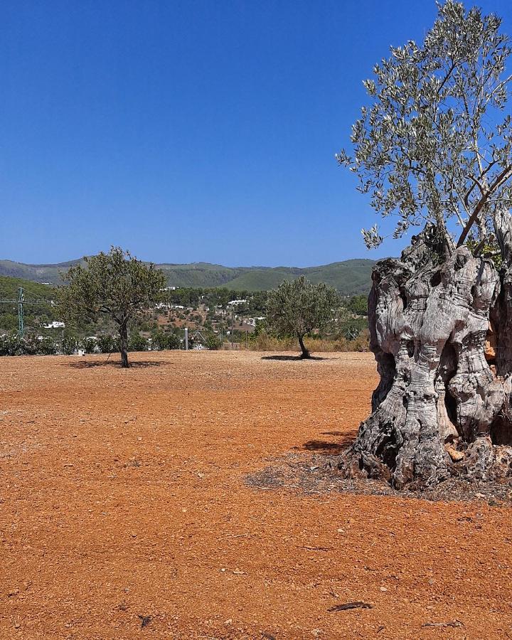 Holiday home Pep De Na Ribes Sant Carles de Peralta