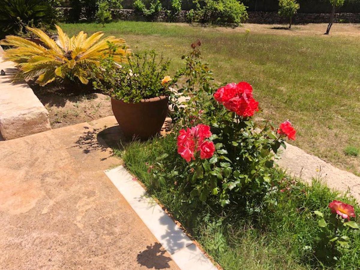 3 Bedrooms Villa With Private Pool Furnished Terrace And Wifi At Santa Gertrudis De Fruitera Villa Santa Gertrudis (Ibiza)