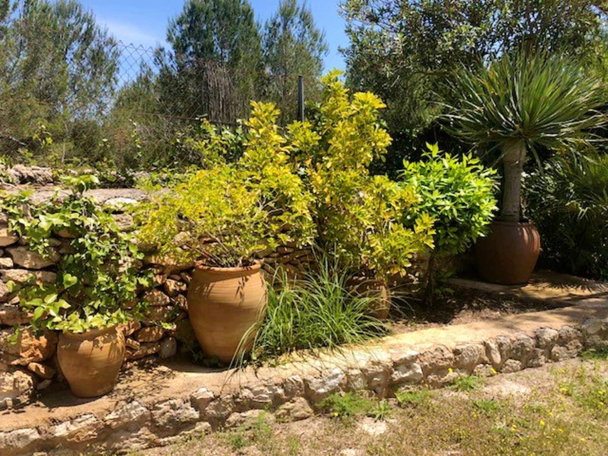 3 Bedrooms Villa With Private Pool Furnished Terrace And Wifi At Santa Gertrudis De Fruitera Villa *