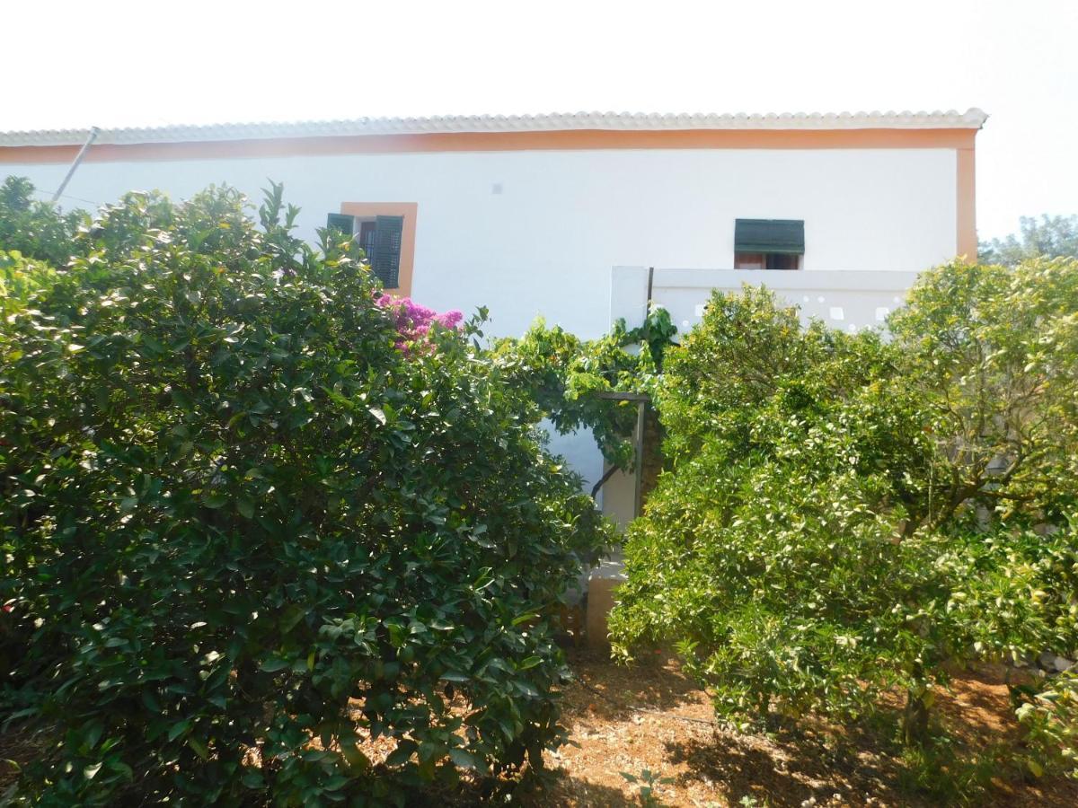 Elegant Sant Miquel: Private Pool Retreat *