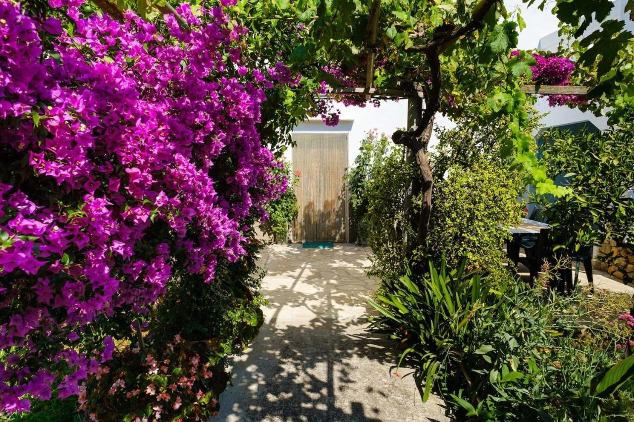 Elegant Sant Miquel: Private Pool Retreat *