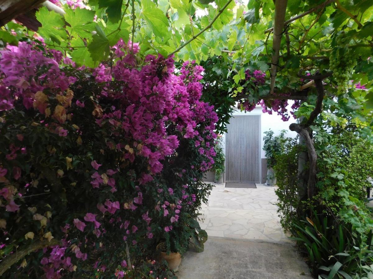 Elegant Sant Miquel: Private Pool Retreat *