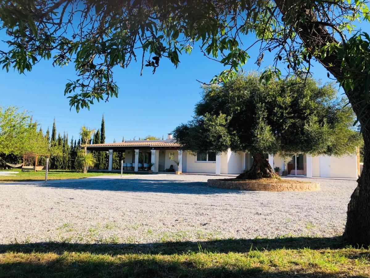 Justbeandbeibiza * Sant Antoni de Portmany