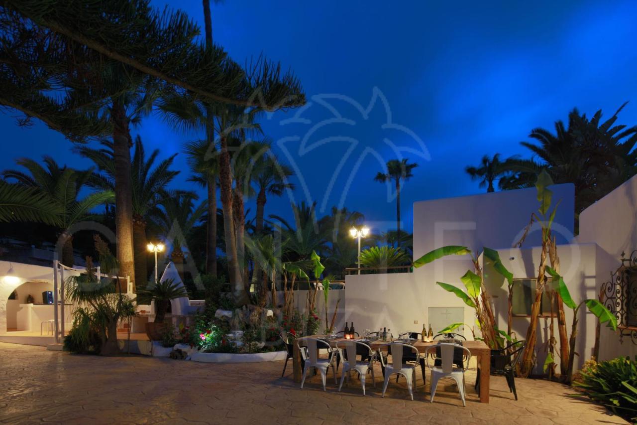 Teo - In Ibiza Villa *