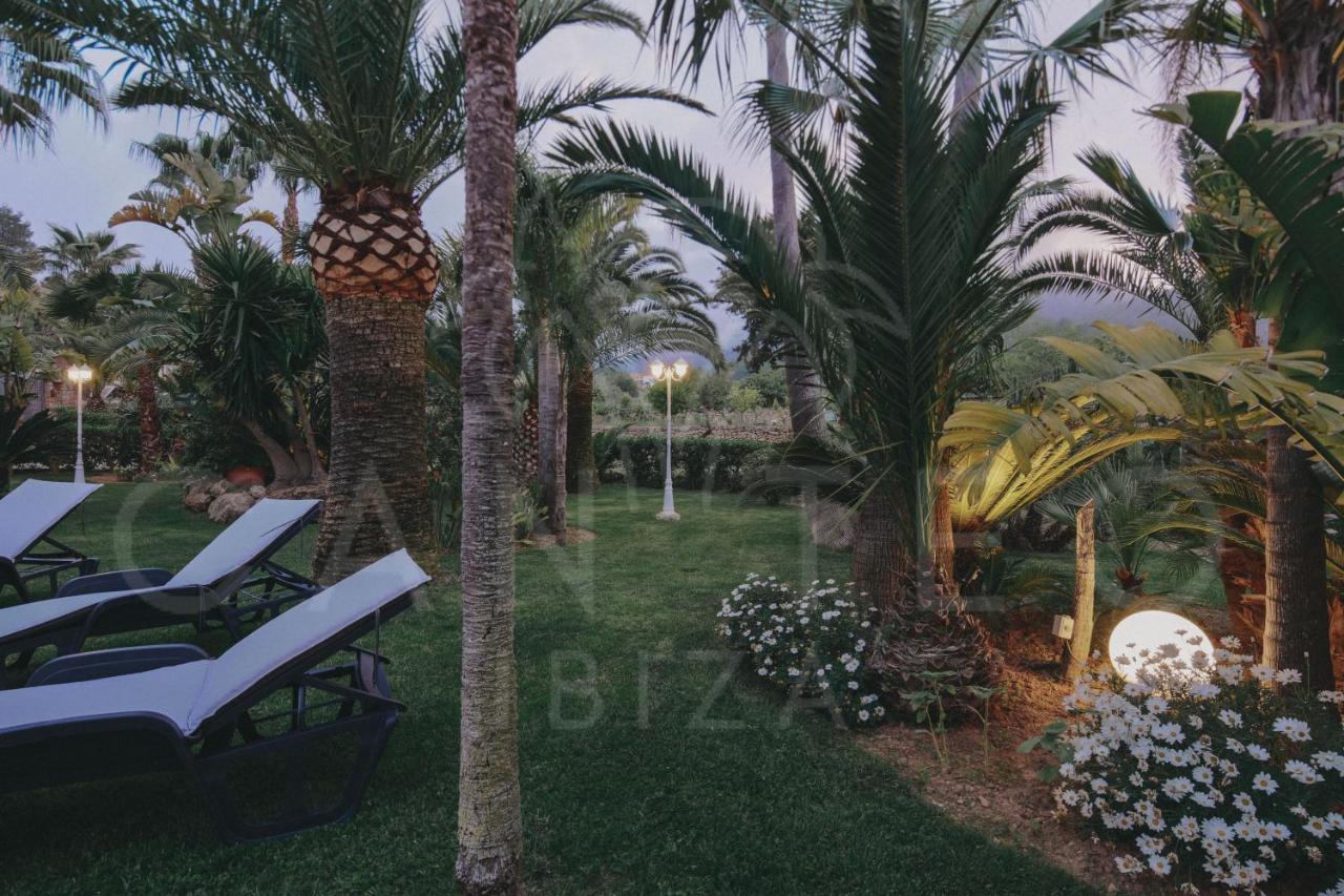 Teo - In Ibiza