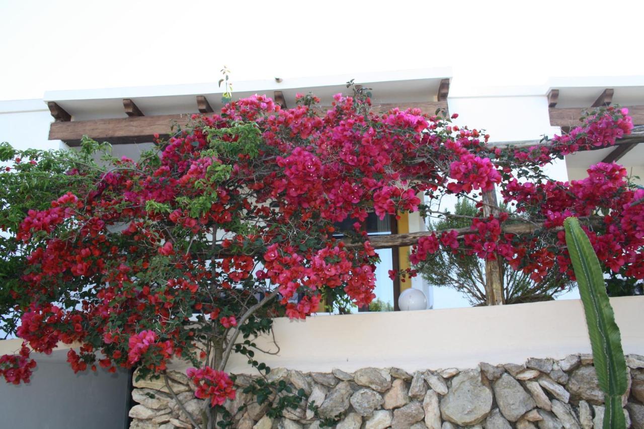 La Pitiusa Agroturismo Sant Miquel de Balansat