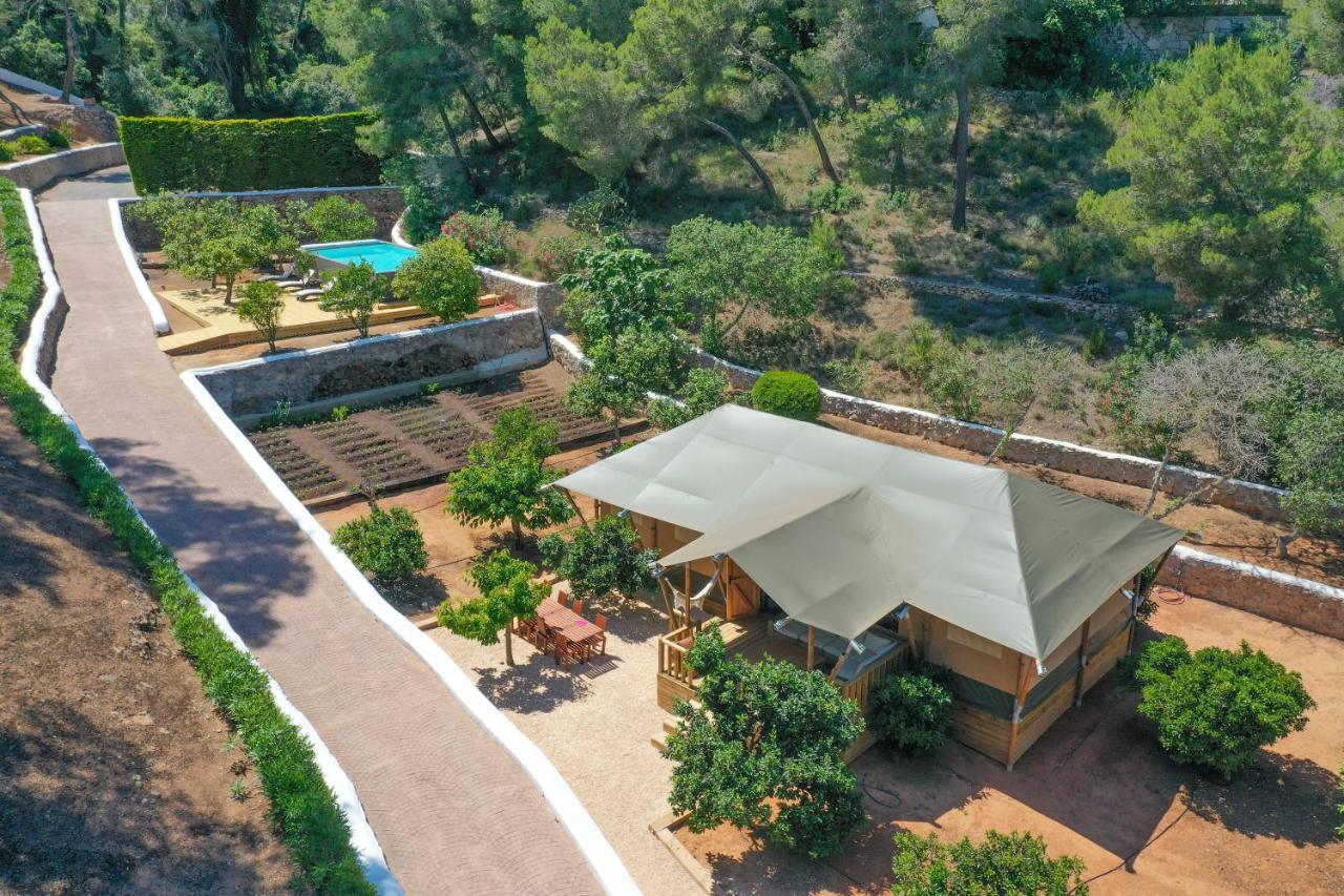Oasis Complex *