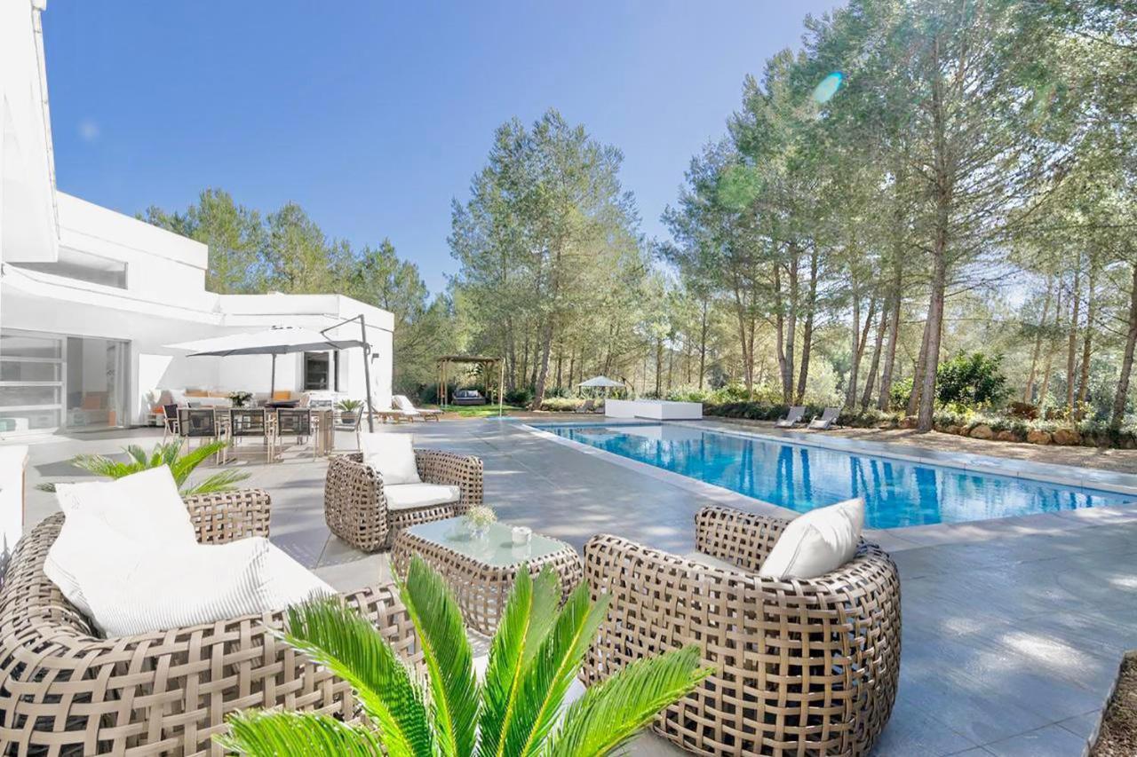Drago * Santa Gertrudis (Ibiza)