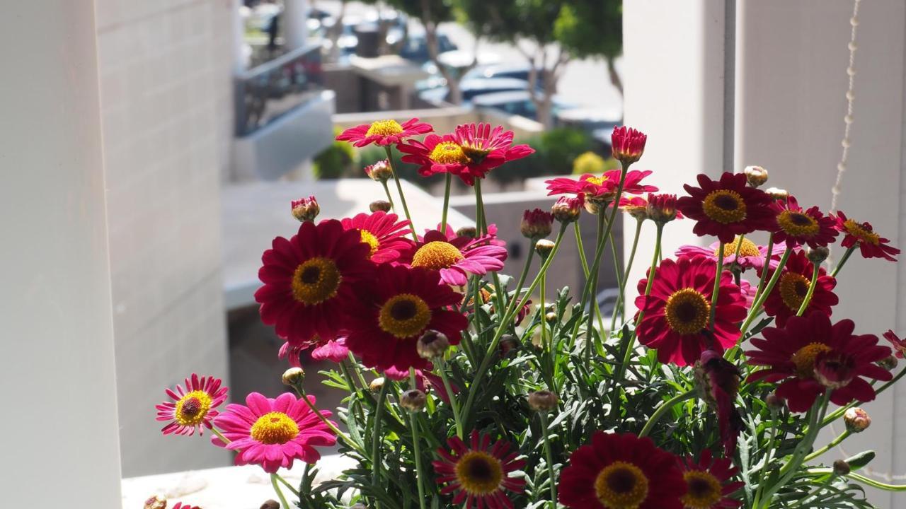 Apartment Chill For An Ibiza Experiencience *